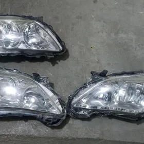 HALIJY FARA 08---10---13