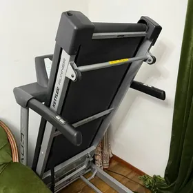 Begovoy doroźka bilen tigir