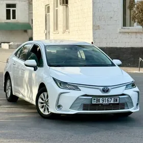 Toyota Corolla 2021