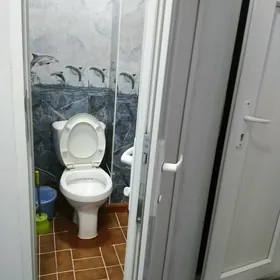 Arenda Jaý Mir 2 Şaýoly