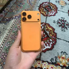 iPhone X 17Pro owrlen