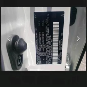 Toyota Highlander 2021