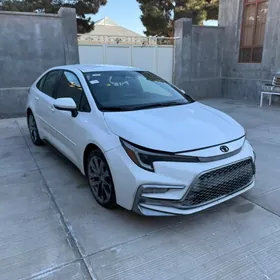 Corolla Diska 18lik SE Stuk