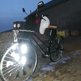 Tigir welik welosiped