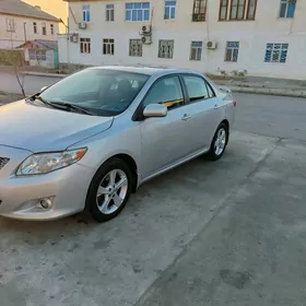 Toyota Corolla 2010