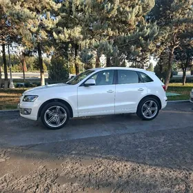 Audi Q5 2011