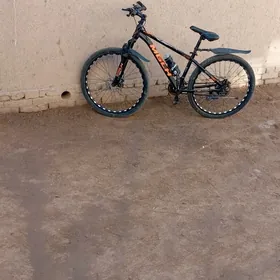 welik 7skort spartizm