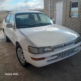 Toyota Corolla 1996