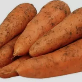 Морковь (käşir)