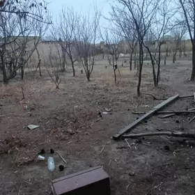 Daca kone ayroport saglyk yoly