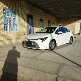Toyota Corolla 2021