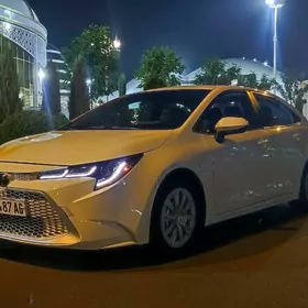 Toyota Corolla 2020