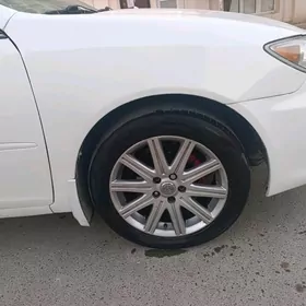 Gran diska grant  17