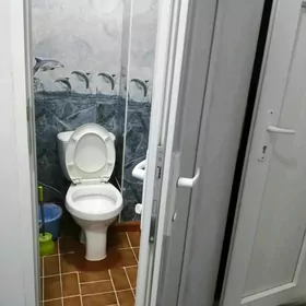 Arenda Jaý Mir 2 3 Komnat