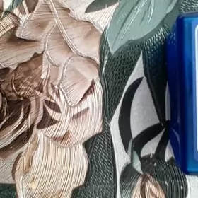 OBDIIDiagnostik Interface