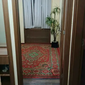 Arenda 5 mkr 3 komnat