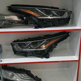 Fara Highlander Platinum