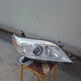 Siyena onki çyra 10-20