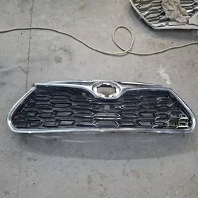 Haylandr oblicowka 20-23 morda