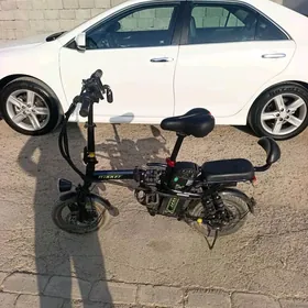 tokly welsepet tigir welsepit