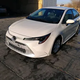 Toyota Corolla 2020