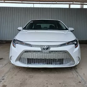Toyota Corolla 2022