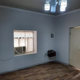 satlyk opşi dwordan jaý