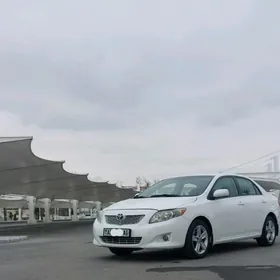 Toyota Corolla 2009
