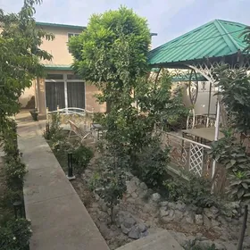 plan jay, taze gurlan Akgonurd