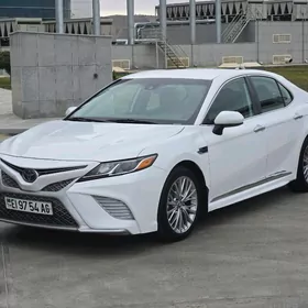 Toyota Camry 2019