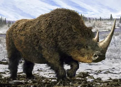 Gadymky möjegiň iýmit galyndylary 14,000 ýyl mundan ozal ýaşan tüýli kerkiň DNK-syny öwrenmäge kömek etdi