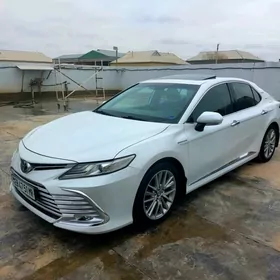 Toyota Camry 2019