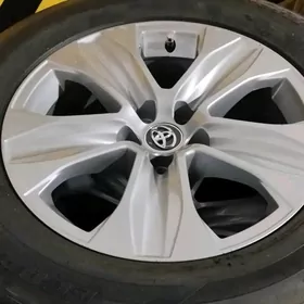 haylander diska pakriska arginal