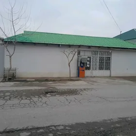 Arenda magazin bagyr mirewe