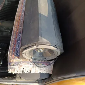 Bas boçga usnitil kalonka