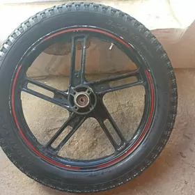 Disga pakrişga fekon