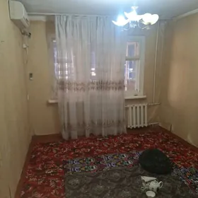 квартира жайлар