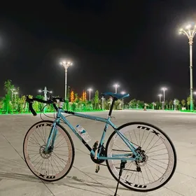 Tigir welik шоссейный