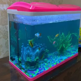 Аквариум с рыбками