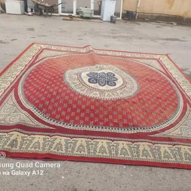 Haly palaslar ulanylan