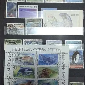 Марки marki монеты значки