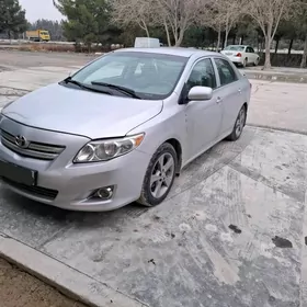 Toyota Corolla 2010