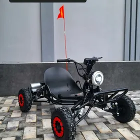 TOKLY TIGIR MASYN MATOR SAMAKA