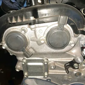 yumurtga mator wanus datjik