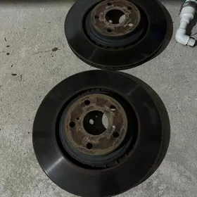 Tarmoznoy diska sienna