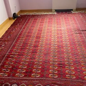 turkmen haly gyzylarbat