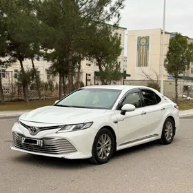 Toyota Camry 2019