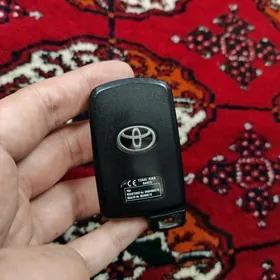 pult achar corolla acar haliji