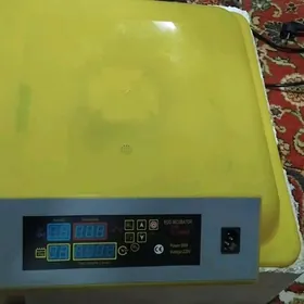 инкубатор,inkubator