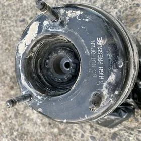 Pnewma Poduska on cep tarap